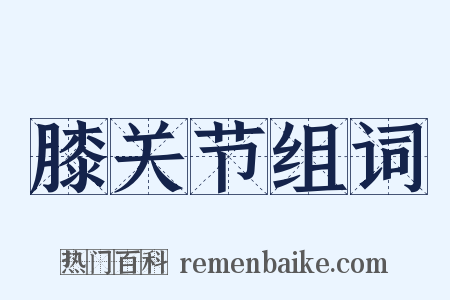 膝关节组词是什么意思的图片